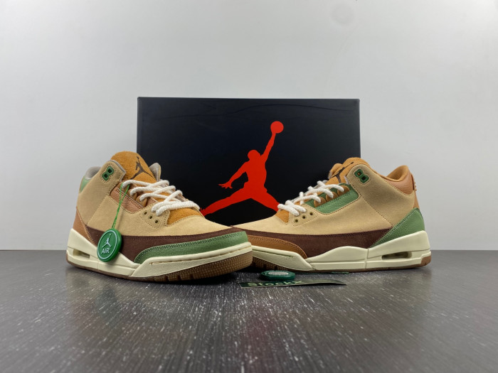 air jordan 3 “green brown” ct8532-103