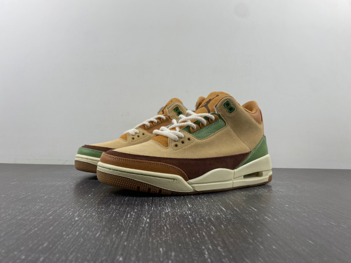 air jordan 3 “green brown” ct8532-103