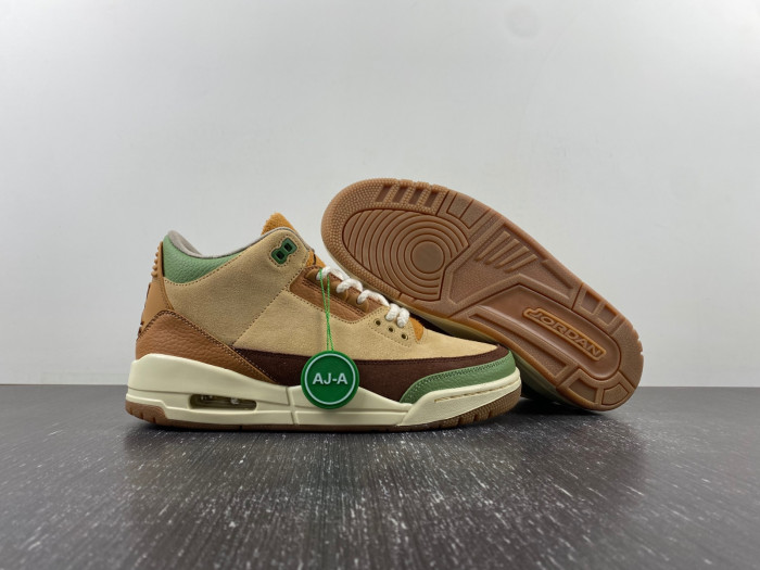 air jordan 3 “green brown” ct8532-103