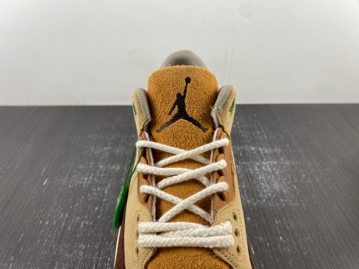 air jordan 3 “green brown” ct8532-103