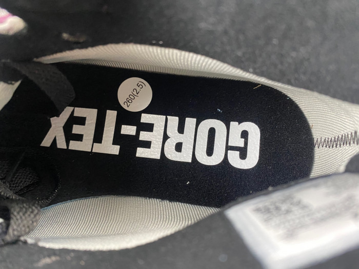 jordan 1 high element gore-tex berry db2889-500