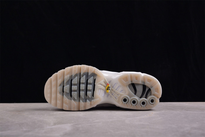 nike air max plus a-cold-wall platinum tint