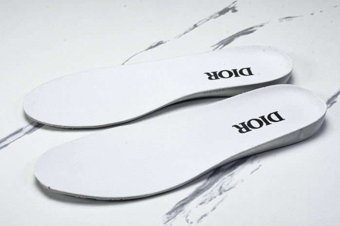 Dior B33 SNEAKER (EU38-46)