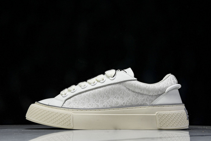 Dior B33 SNEAKER (EU38-46)