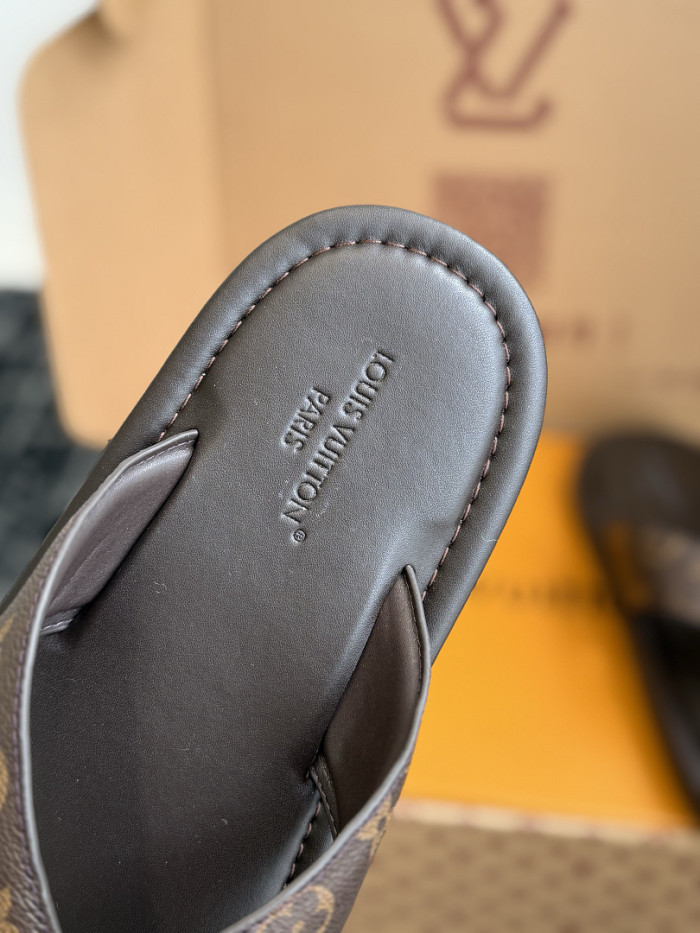 LV Slides