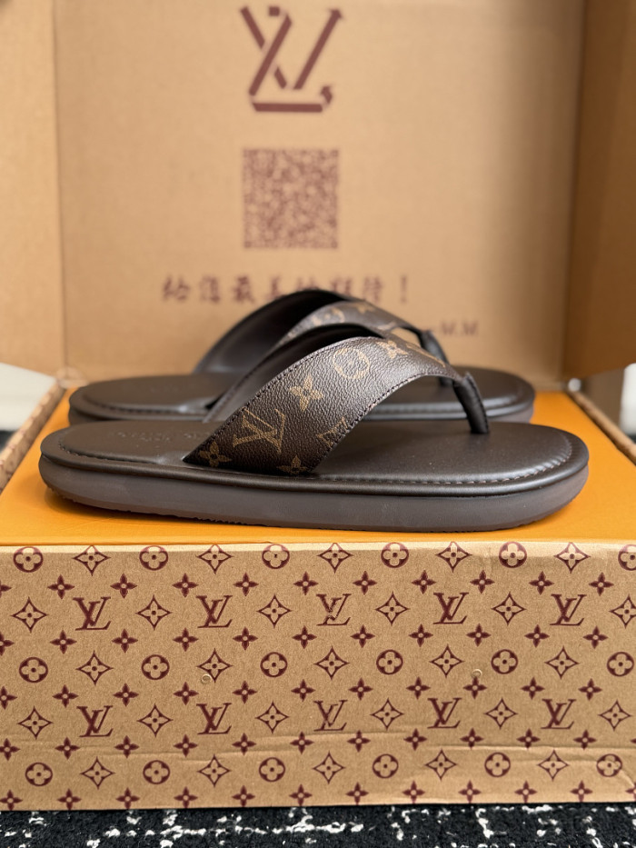 LV Slides