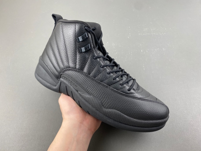 Air Jordan 12 CT8013-010