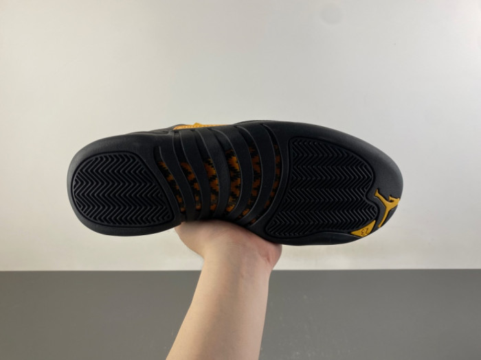 Air Jordan 12 Retro Black Taxi CT8013-071