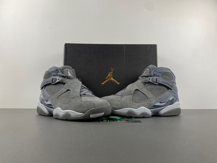 Jordan 8 Retro 305381-014