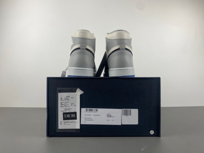 Dior x Air Jordan 1 High CN8607-002