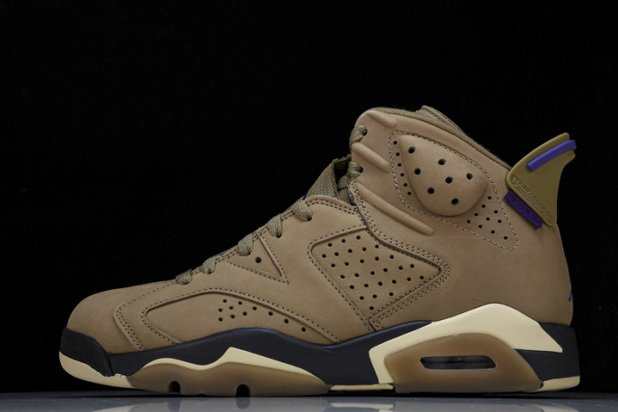 jordan 6 retro gore-tex brown kelp fd1643-300