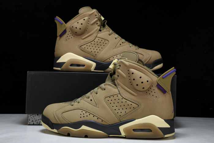 jordan 6 retro gore-tex brown kelp fd1643-300