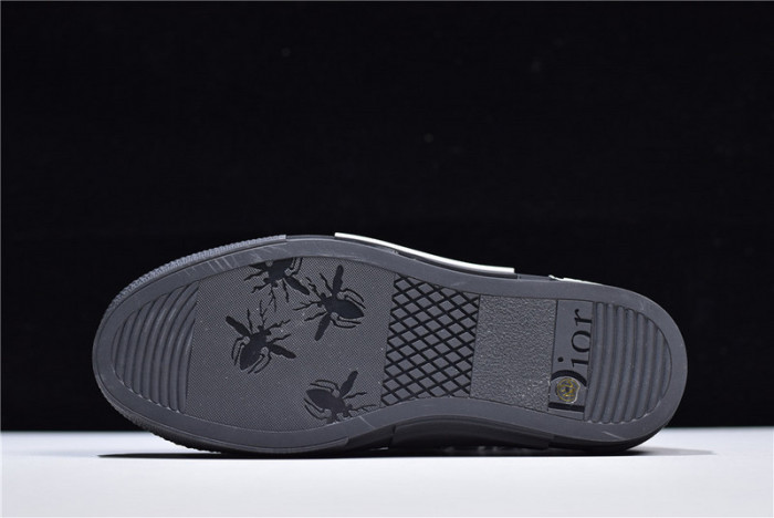 D*or b23 homme kaws low top sneaker