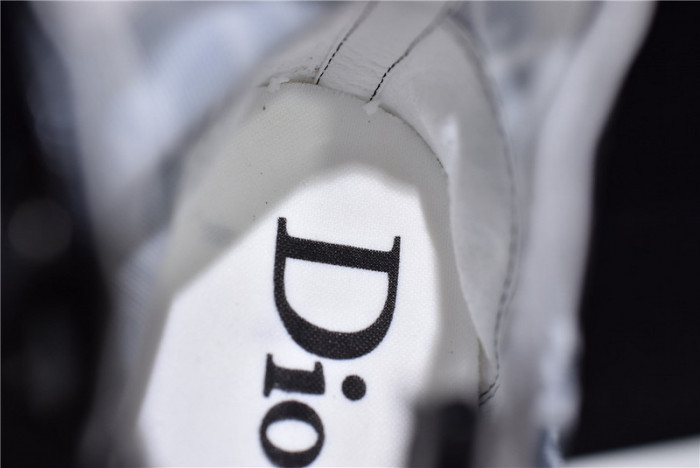 D*or b23 homme kaws low top sneaker