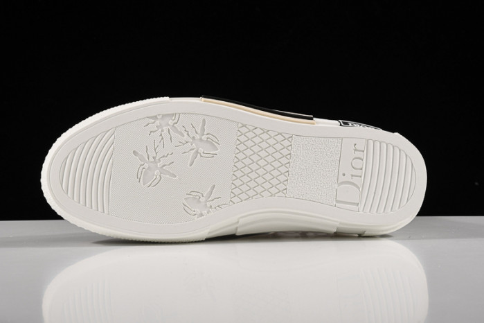 D*or b23 homme kaws low top sneaker