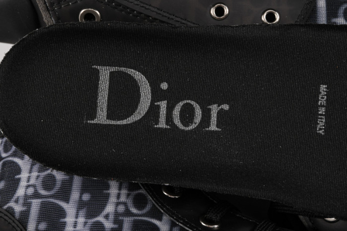 D*or b23 homme kaws low top sneaker