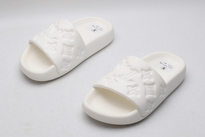 lv slides