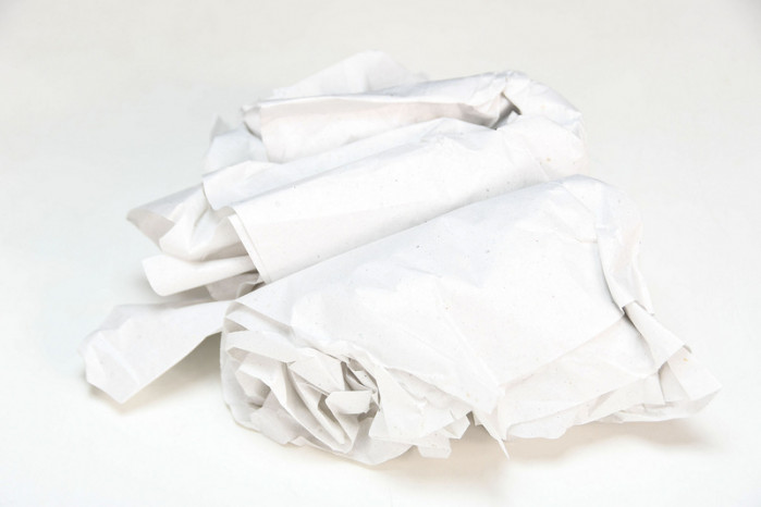 nike sb dunk low white lobster (friends and family) fd8776-100