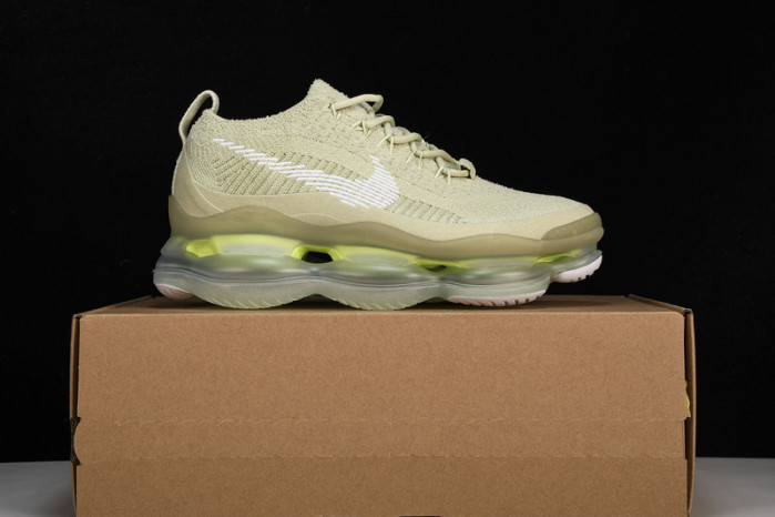 Nike Air Max Scorpion FK Olive Aura (2023) DJ4702-300