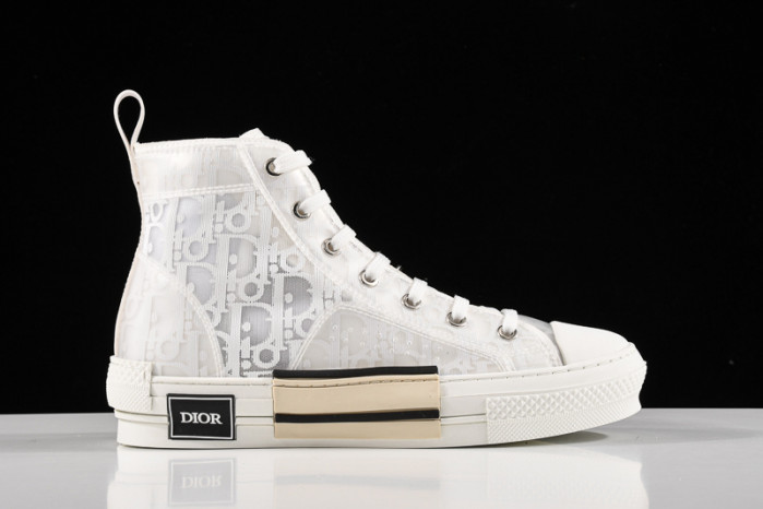 D*or b23 homme kaws low top sneaker