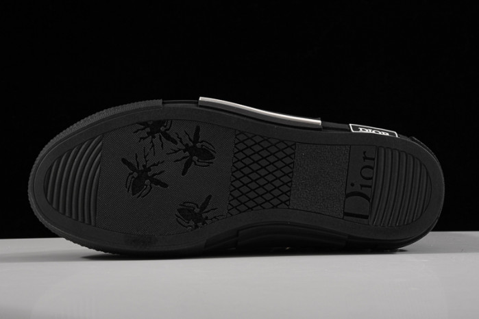 D*or b23 homme kaws low top sneaker